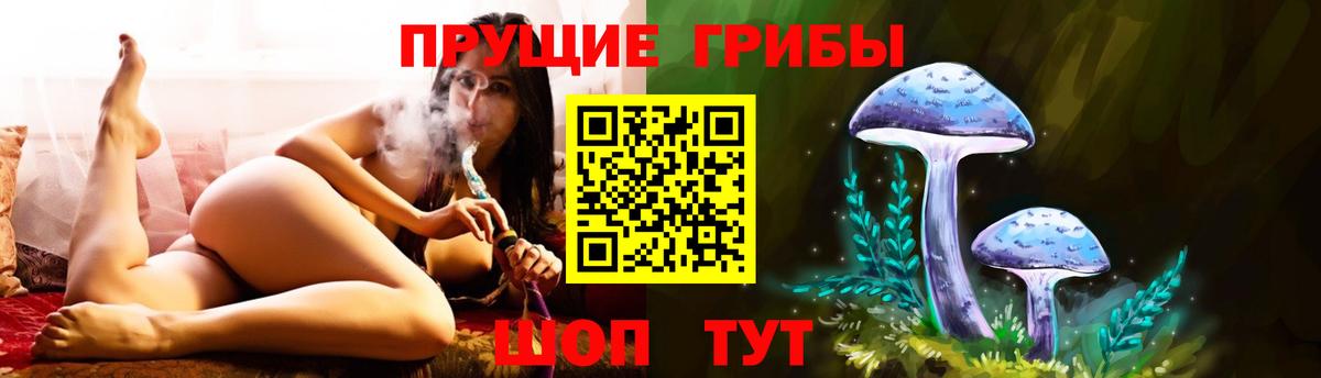 Губкинский  Галлюциногенные грибы Magic Shrooms  Галлюциногенные грибы Cubensis  купить наркотики сайты  Вход с VPN 